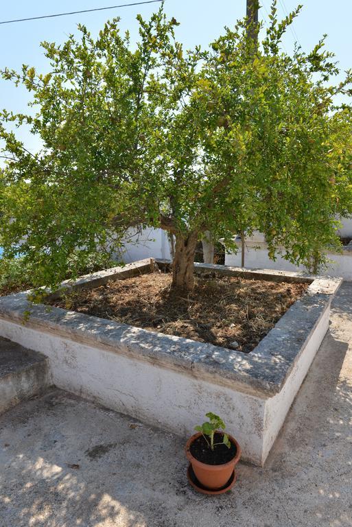 Masseria Gravinella Фазано Екстер'єр фото